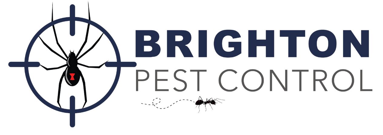 Brighton Pest Control